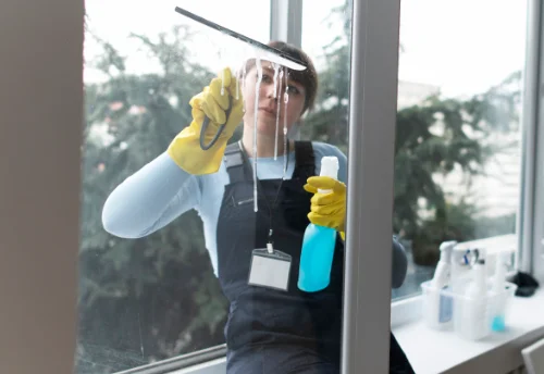 Nettoyage de vitres intérieures et extérieures à Massingy